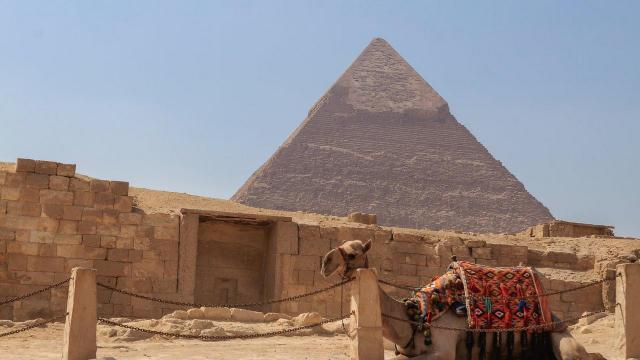 Хотел по програма Египет от А до Я с полет от СОФИЯ до ХУРГАДА - Луксозен Круиз по Нил + Кайро + Хургада - pic #10