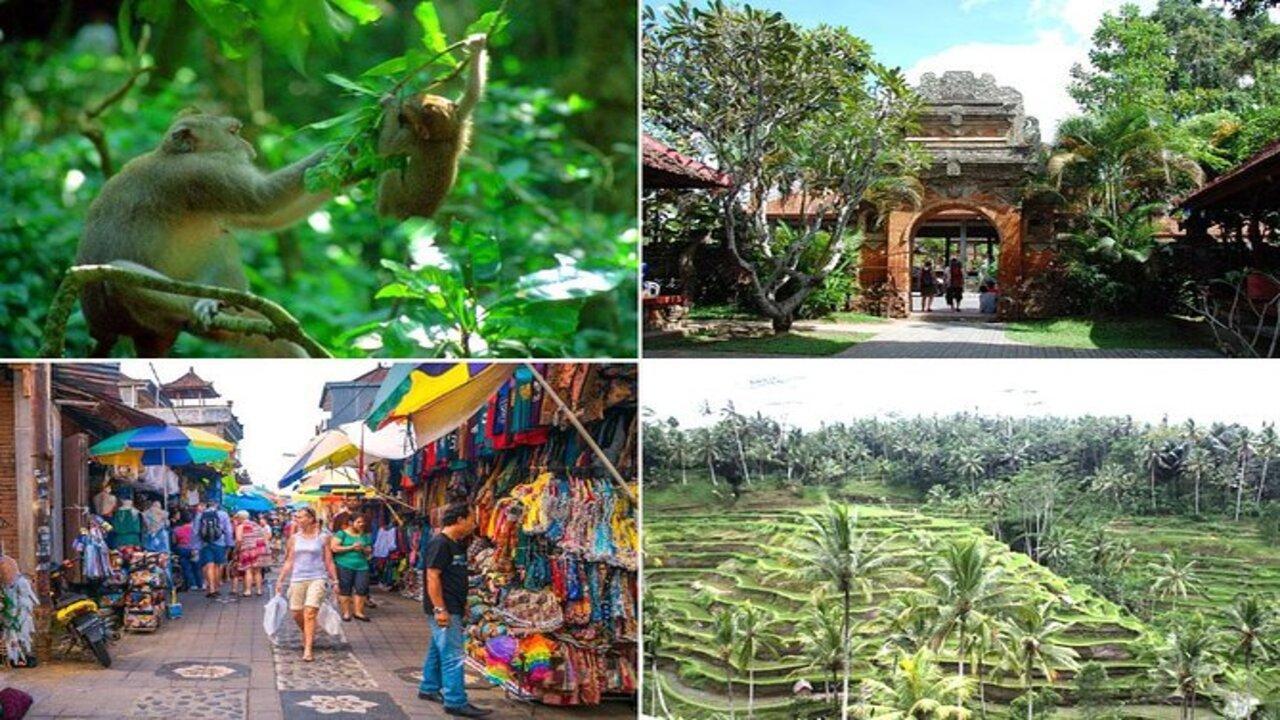 Посещение на Гората на маймуните и Пури Пелиатан