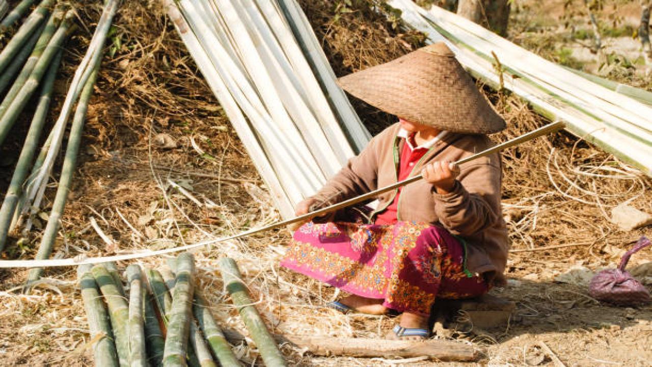 Bamboo Experience &ndash; автентично културно и кулинарно преживяване