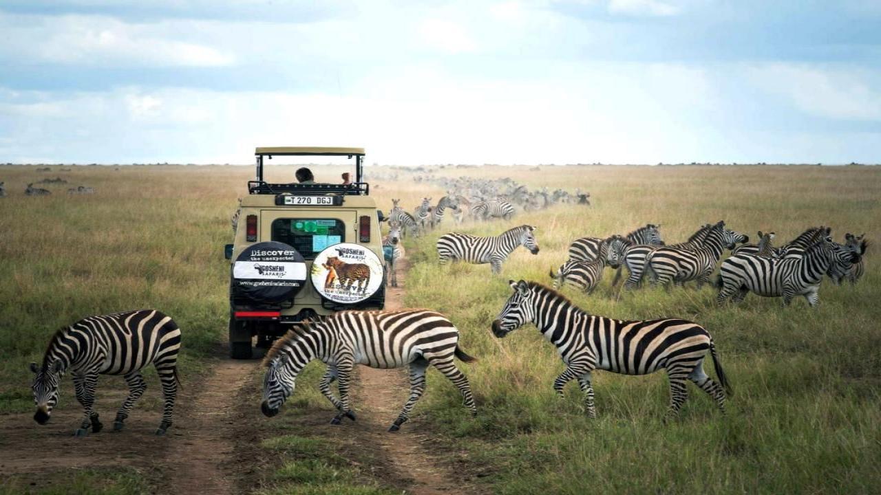 Сафари  в Танзания