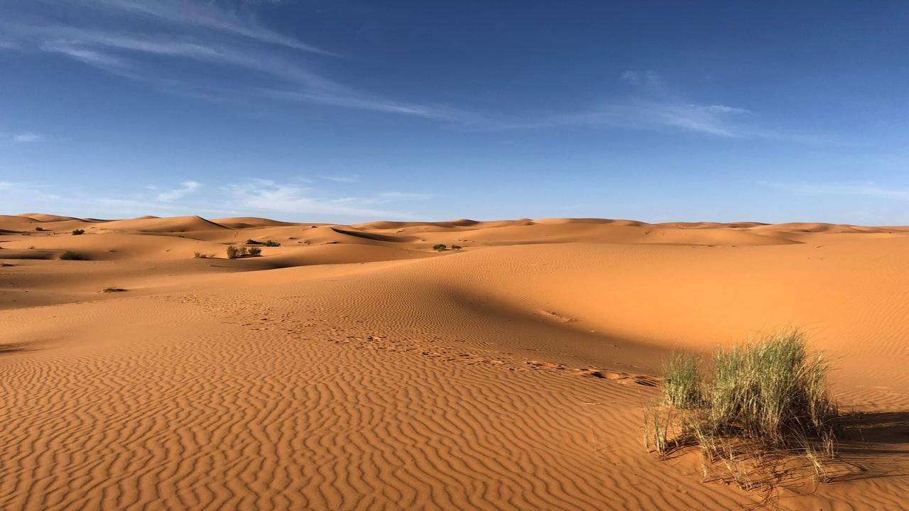 Сахара и нейната магия - Двудневна екскурзия с 1 нощувка в оазис в пустинята