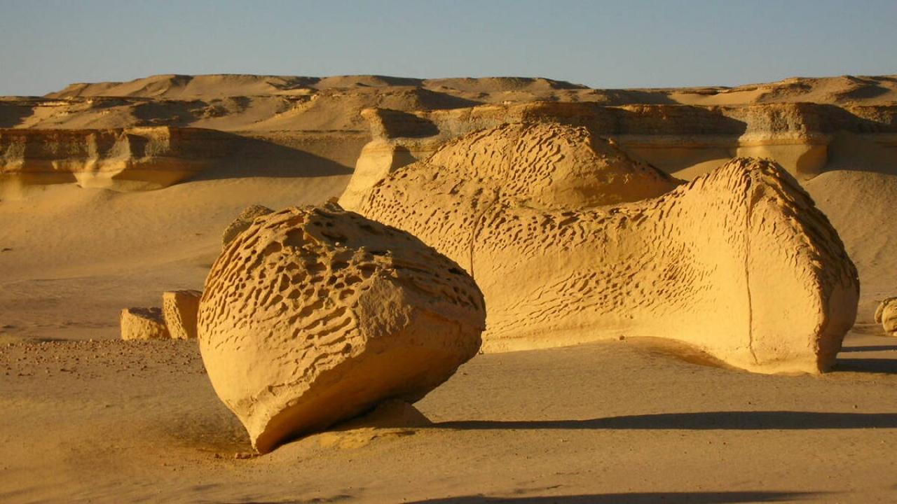Палеонтологичен обект Wadi El Hitan (Включена в цената)