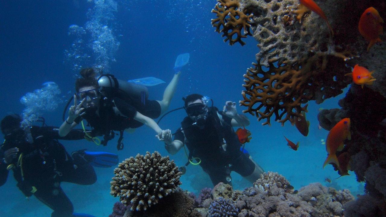 Гмуркане и шнорхелинг в красивите рифове на Червено Море