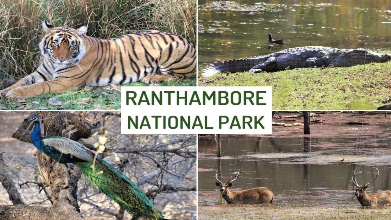Посещение на Националния парк Рантамбор