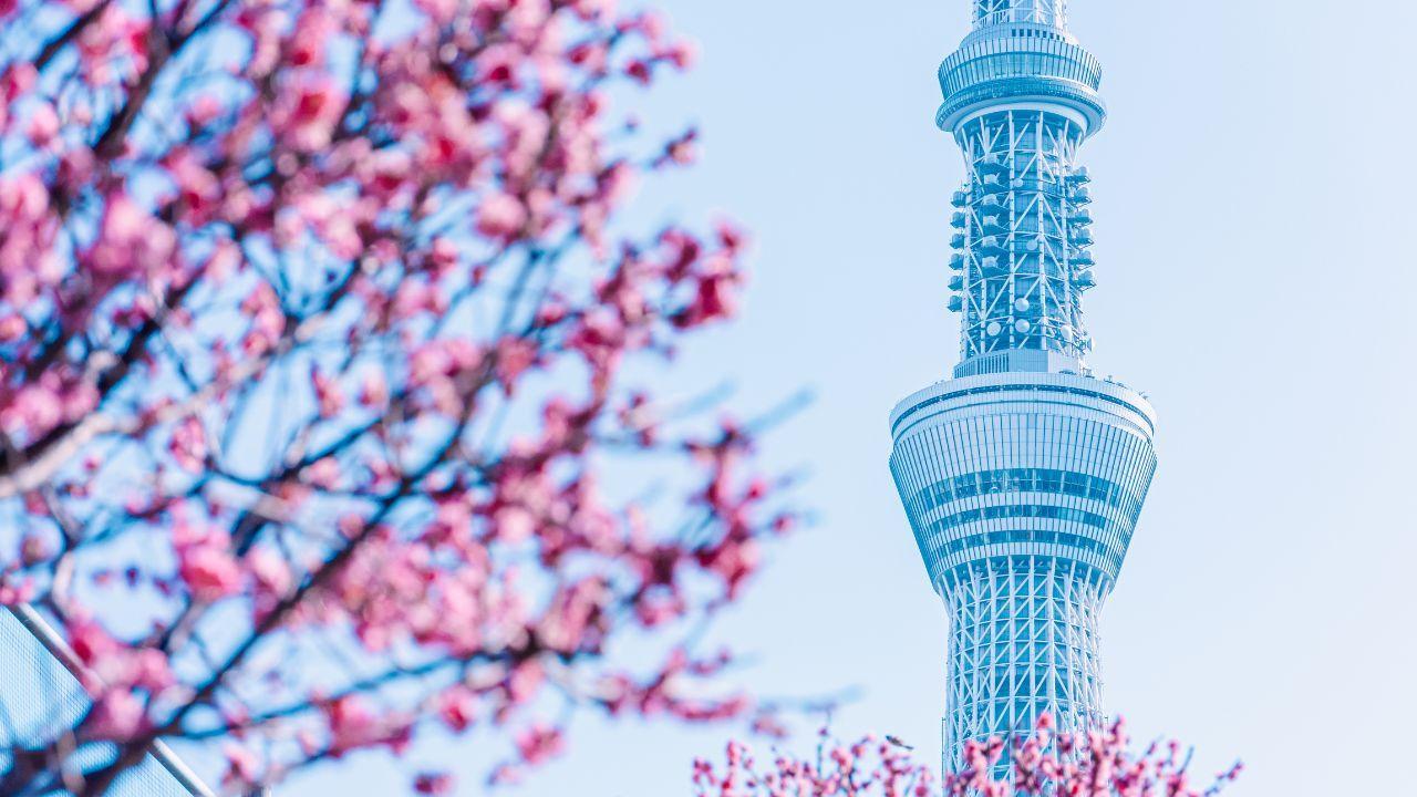 Качване в Tokyo Sky Tree – най-високата кула в Токио (634 м)