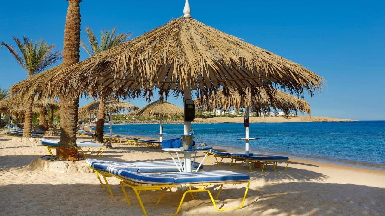 Sharm Dreams Resort - pic #10