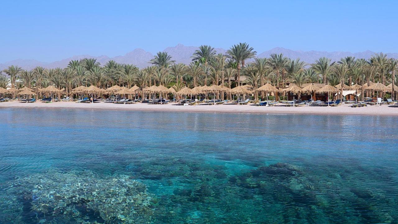 Sharm Dreams Resort - pic #11