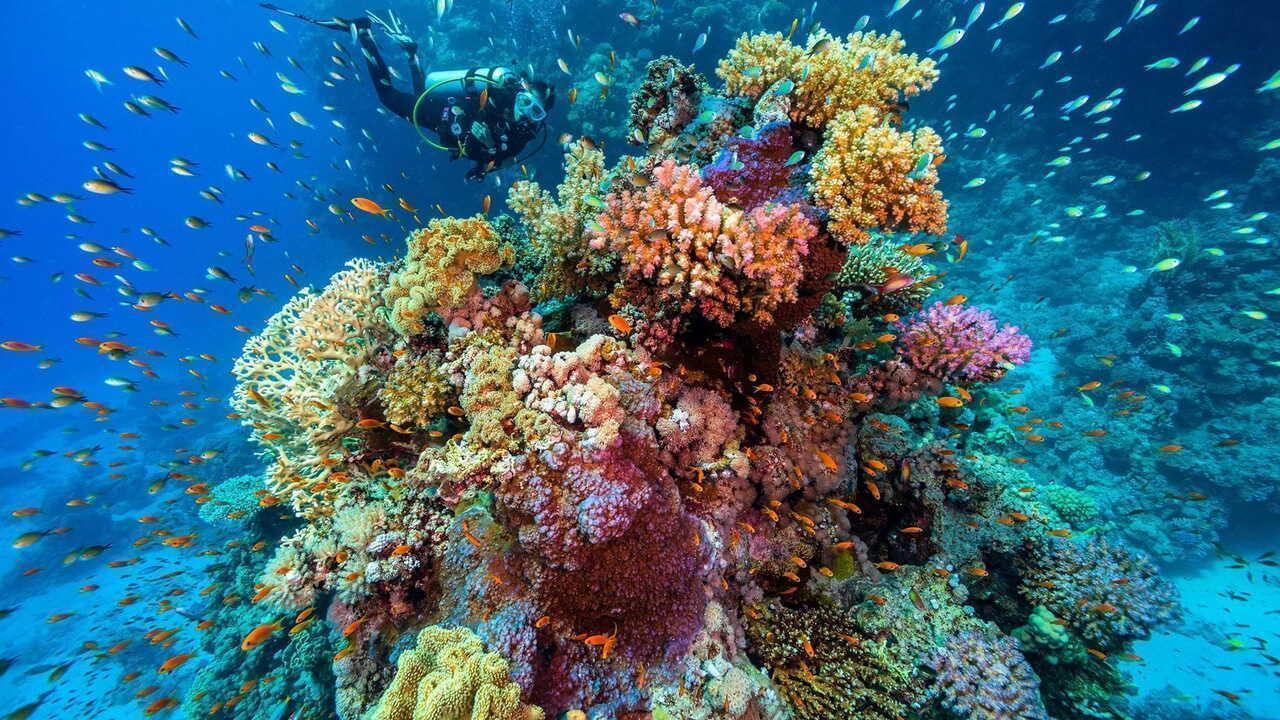 Lucky Hurghada - снимка 3