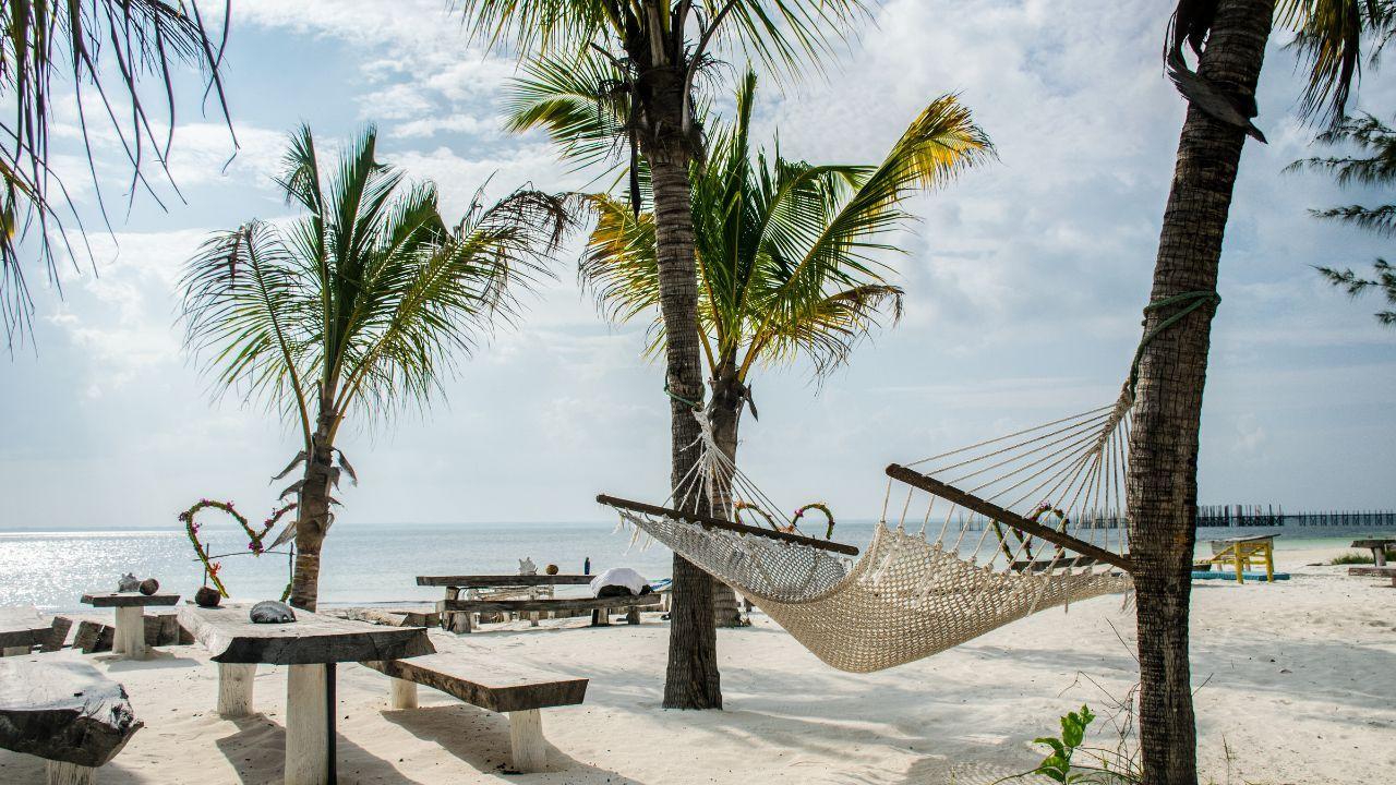 ПОЧИВКА В ЗАНЗИБАР - бижуто на Африка - чартър от София - 7 нощувки