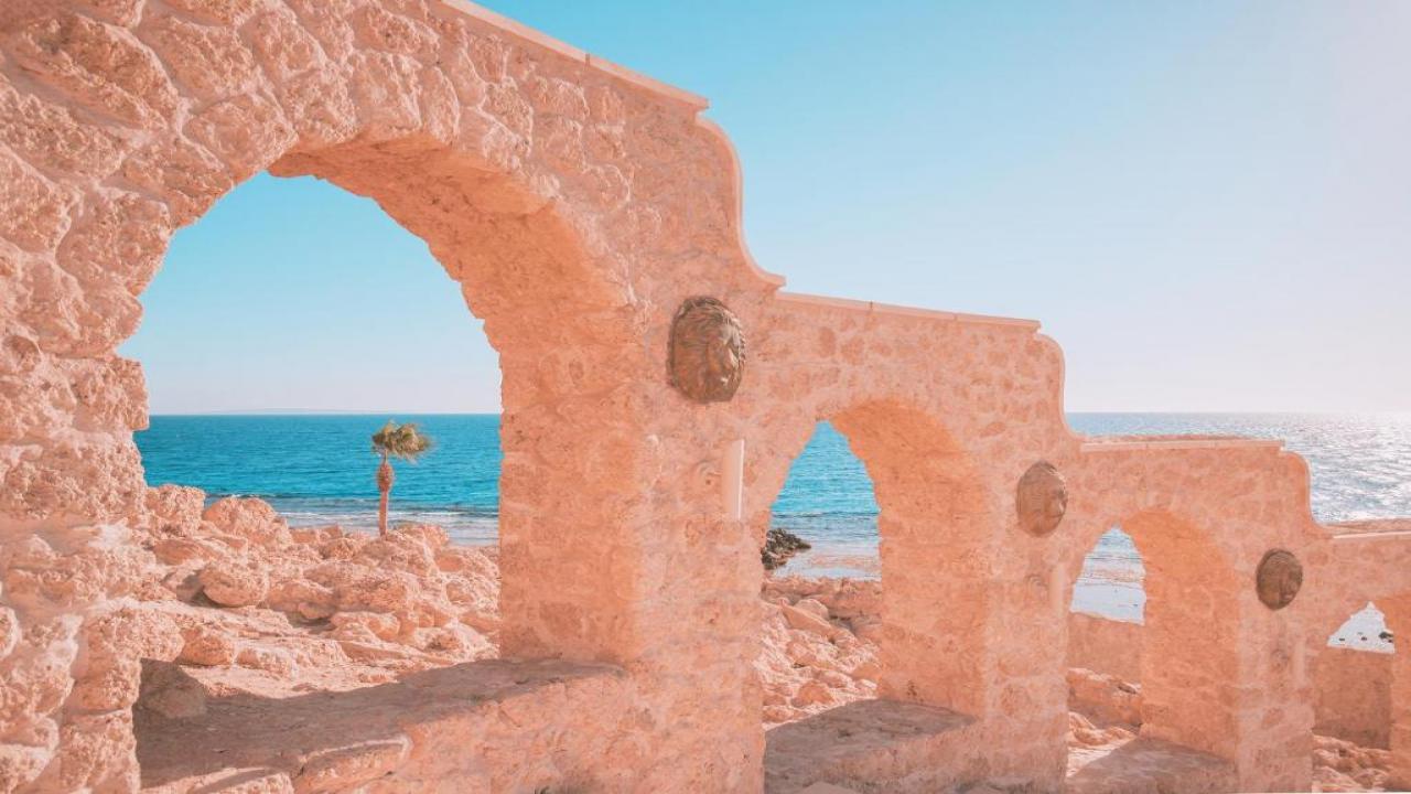 Pickalbatros Citadel Resort - снимка 16 Pickalbatros Citadel Resort - снимка 16