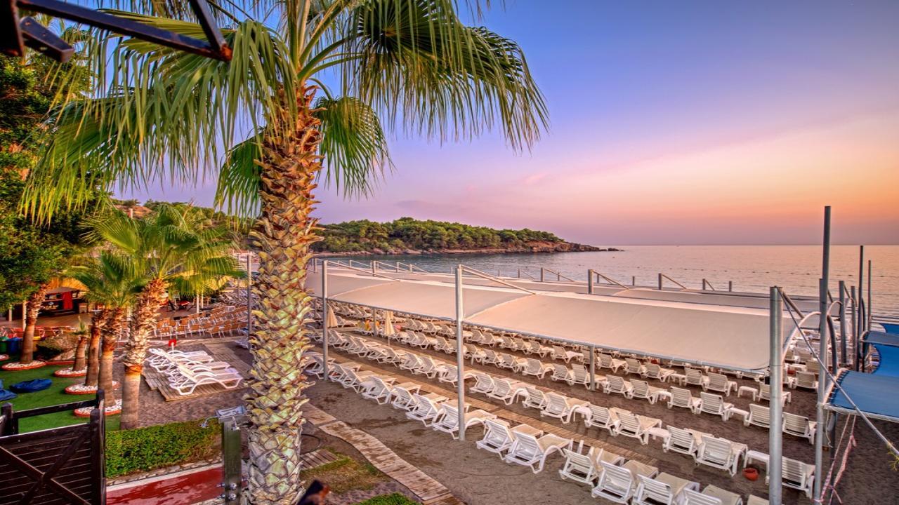 Sea Life Buket Beach #4 Sea Life Buket Beach #4