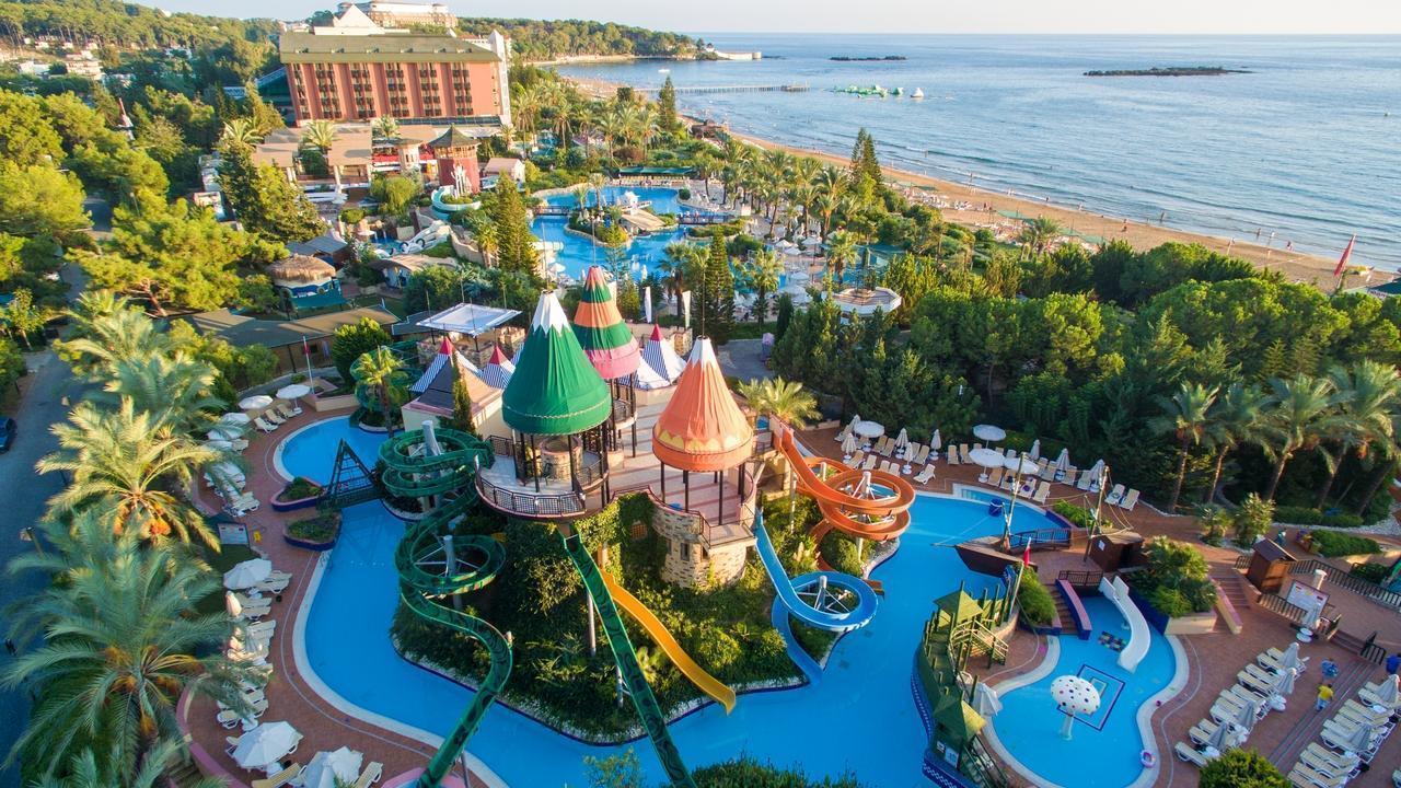 AQI Pegasos Royal - снимка 16