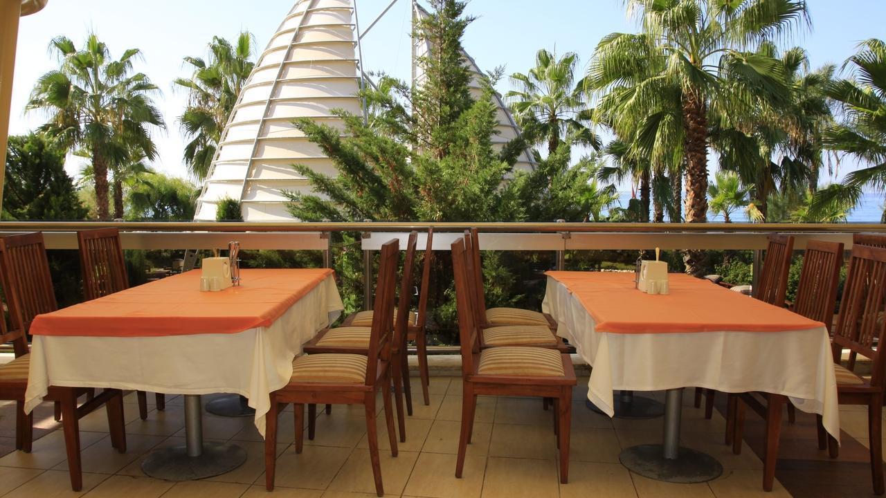 AQI Pegasos Royal - снимка 12