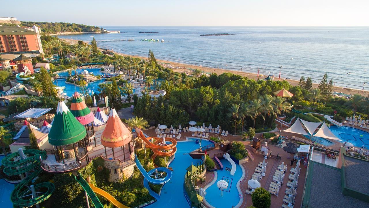 AQI Pegasos Royal - снимка 15