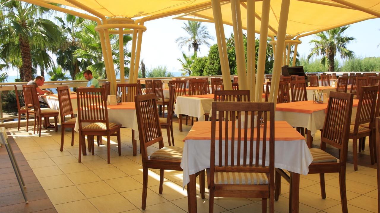 AQI Pegasos Royal - снимка 13