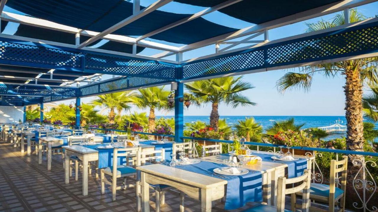 Turan Prince - снимка 14 Turan Prince - снимка 14