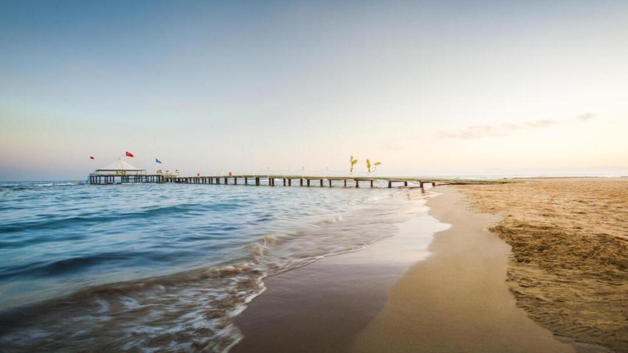 Turan Prince - снимка 11 Turan Prince - снимка 11