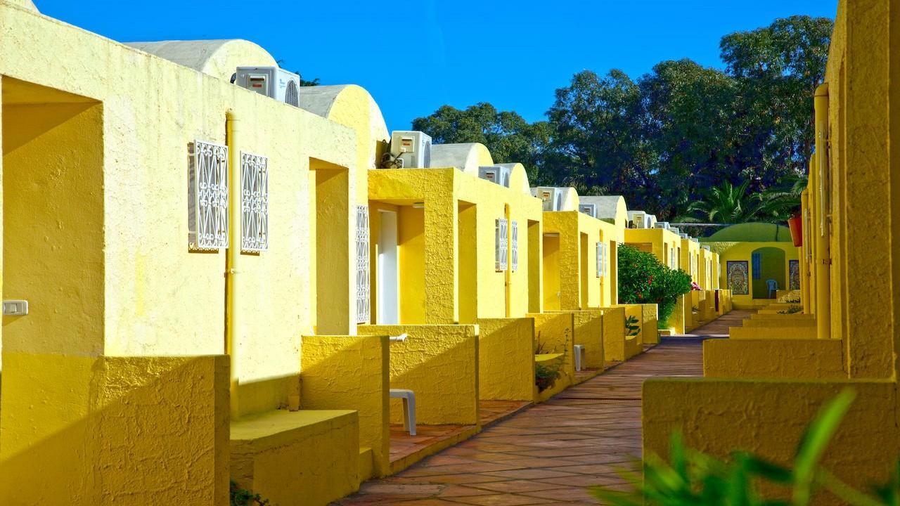 Samira Club Standard - снимка 3 Samira Club Standard - снимка 3