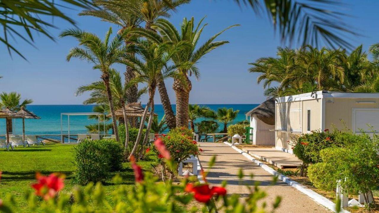 TUI Blue Palm Beach Hammamet Superior - снимка 12 TUI Blue Palm Beach Hammamet Superior - снимка 12