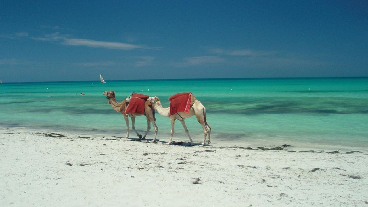 Островно приключение - 7 дни All Inclusive на остров Джерба с полет от Варна 2026