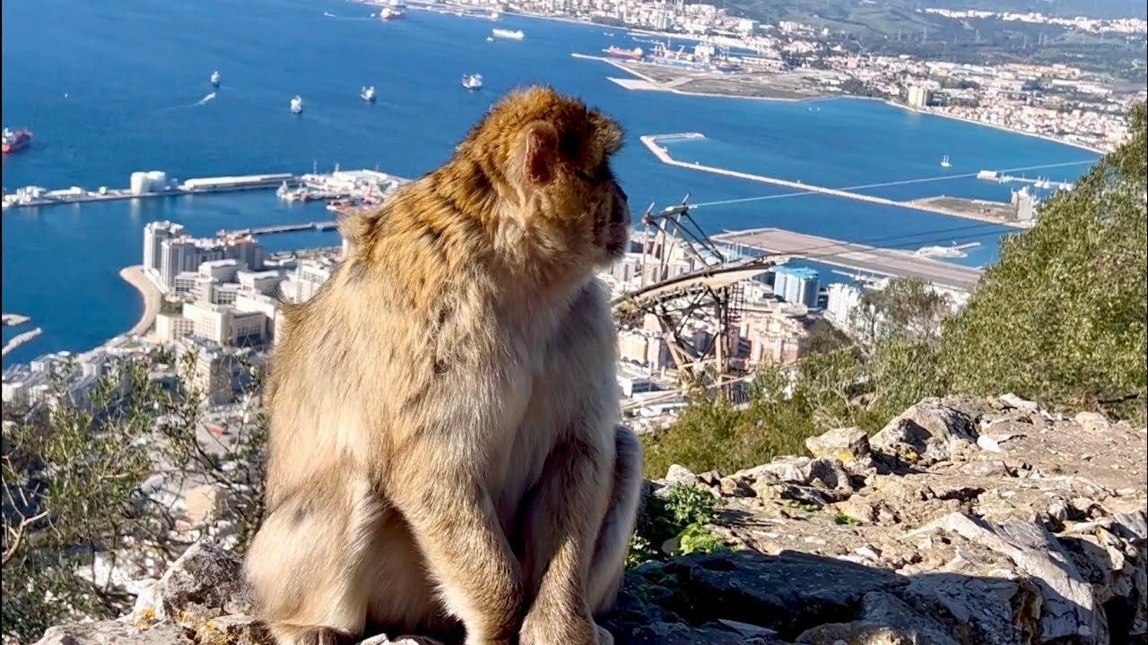 Пътеките на Андалусия и Магреба - 10 нощувки - 31.03.2026 -  полет от София