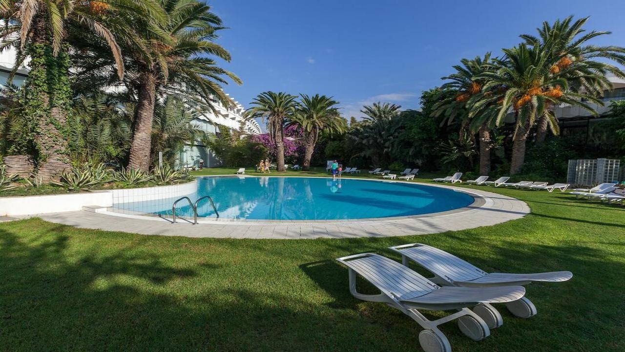 Sentido Phenicia Superior #7 Sentido Phenicia Superior #7