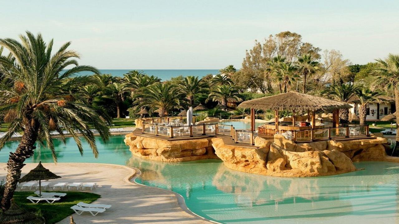 Sentido Phenicia Superior #2 Sentido Phenicia Superior #2