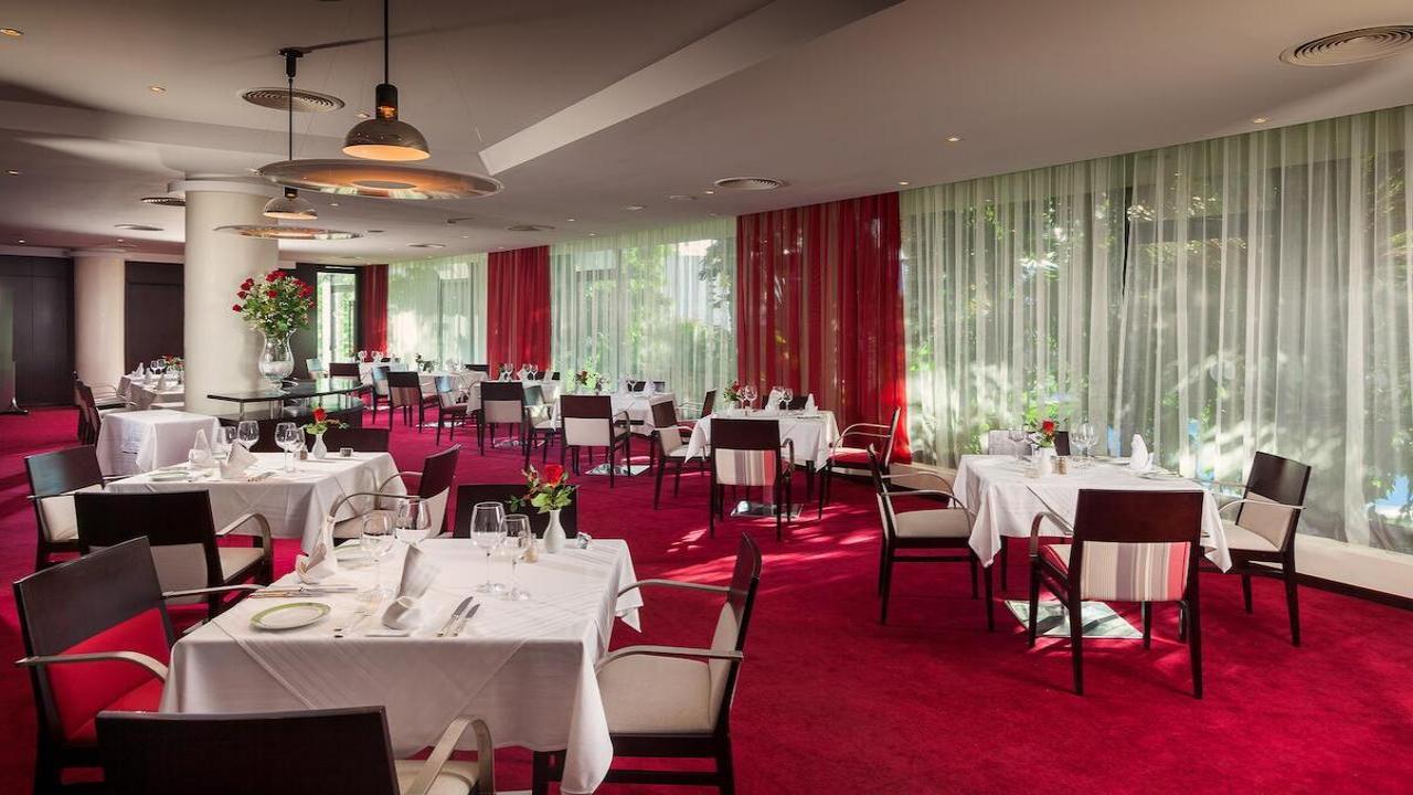 Sentido Phenicia Superior #13 Sentido Phenicia Superior #13