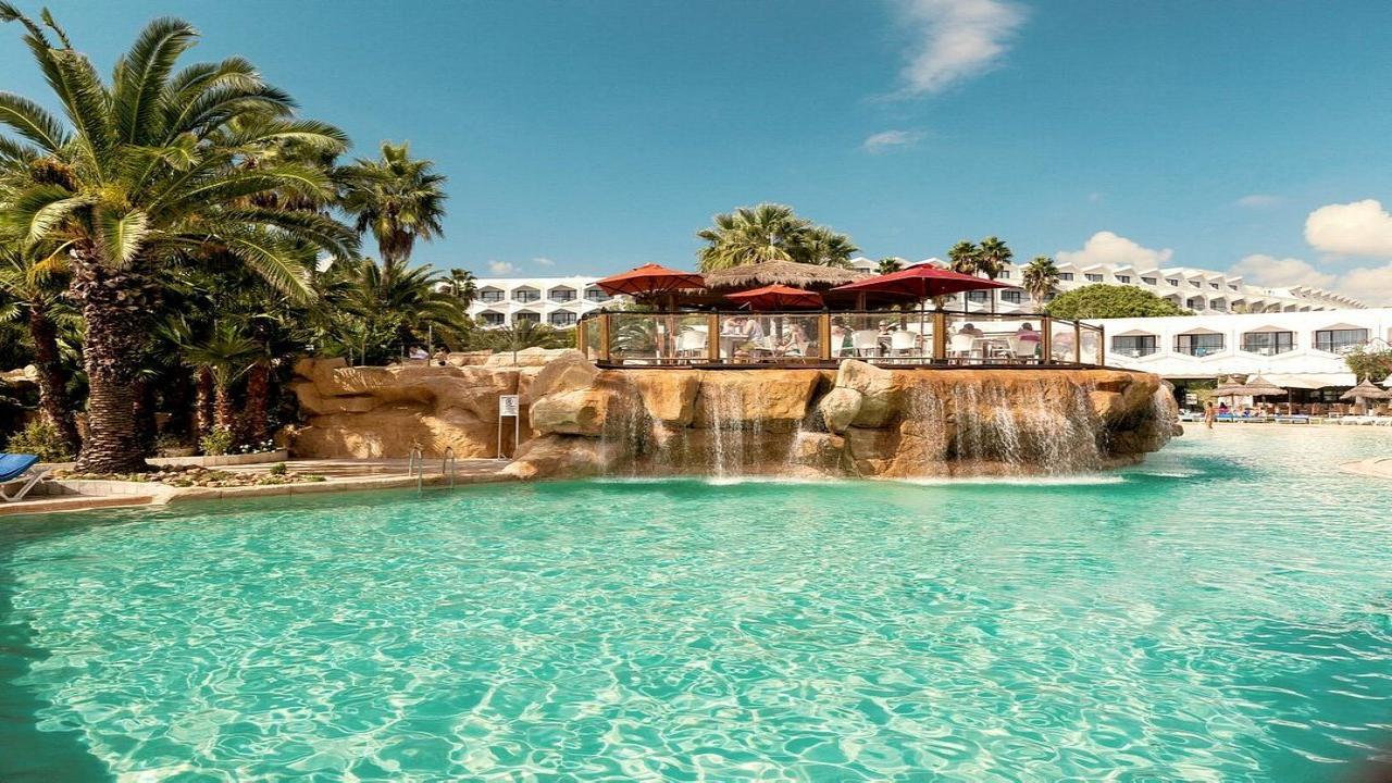 Sentido Phenicia Superior #17 Sentido Phenicia Superior #17