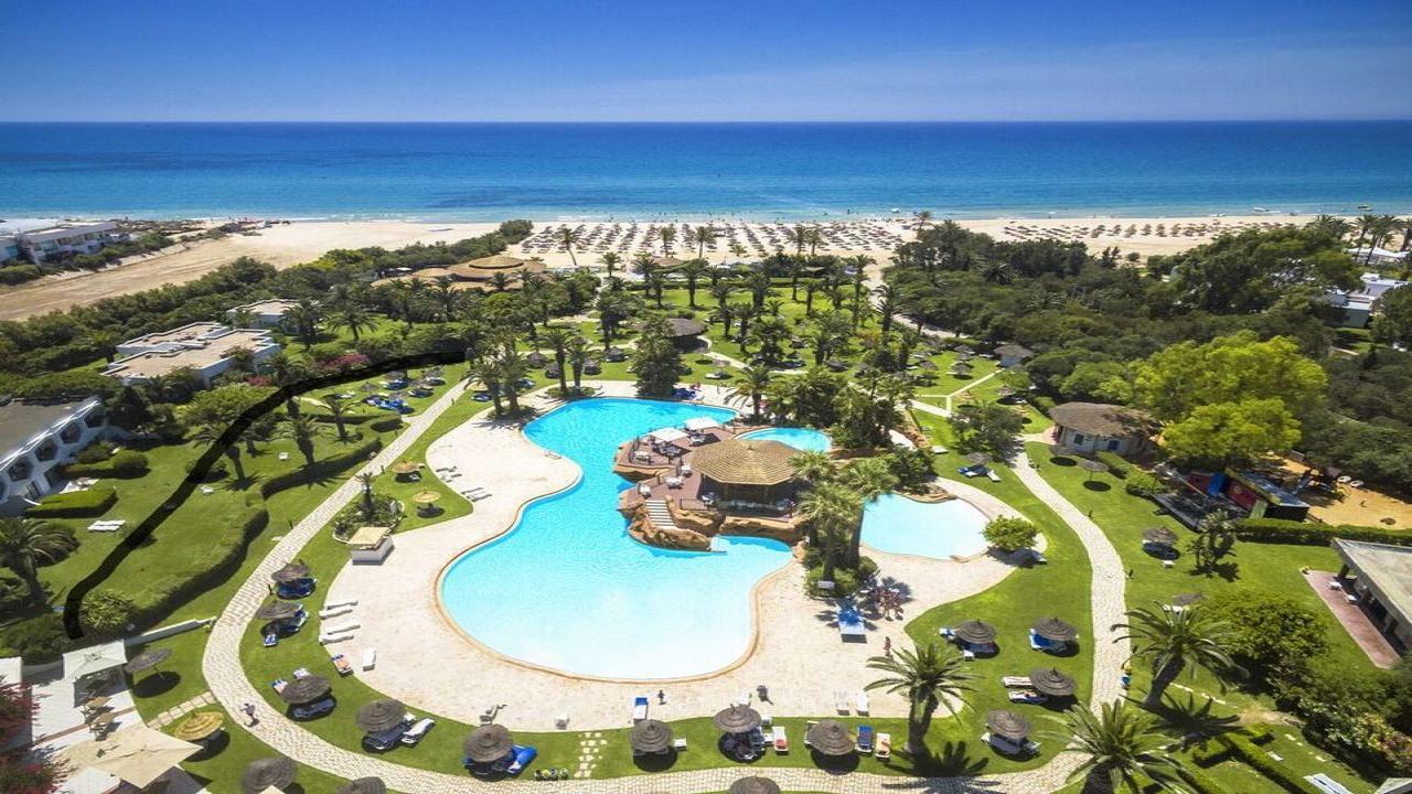 Sentido Phenicia Superior