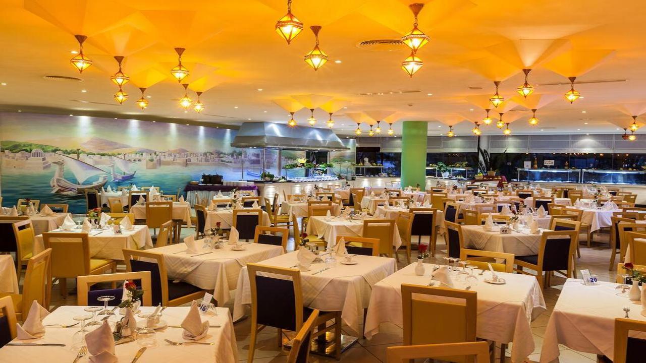 Sentido Phenicia Superior #14 Sentido Phenicia Superior #14