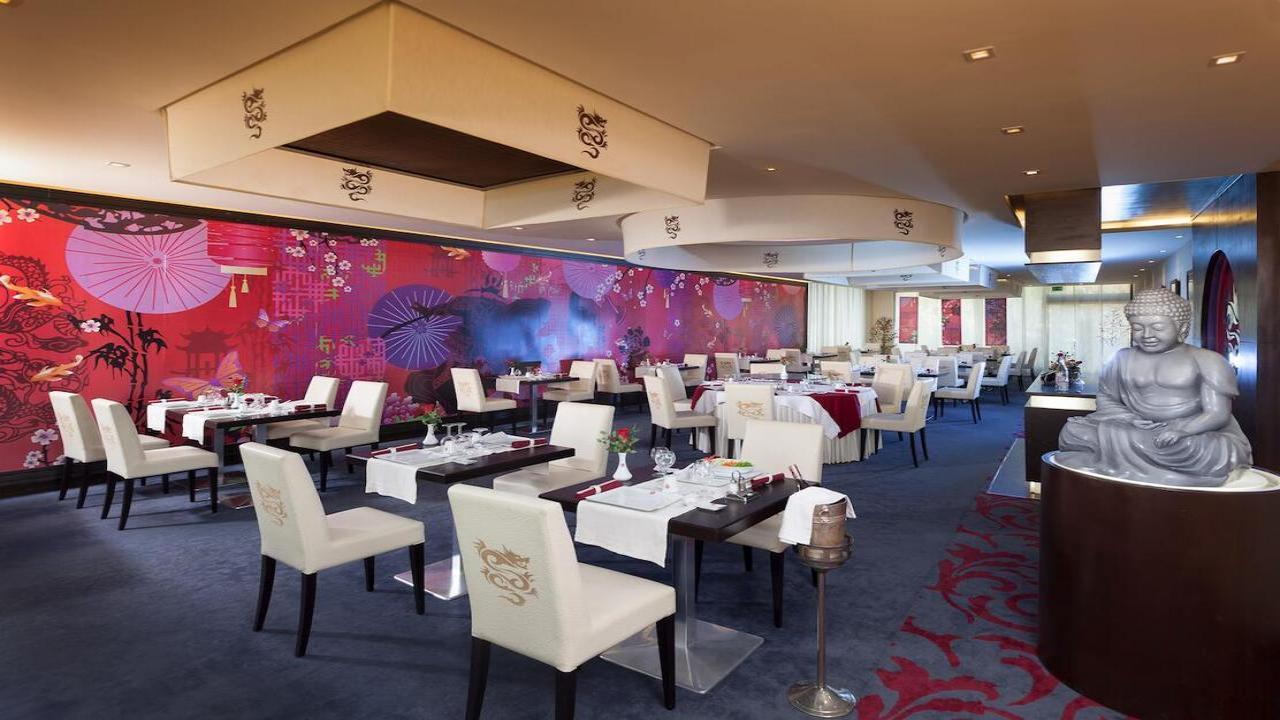 Sentido Phenicia Superior #12 Sentido Phenicia Superior #12