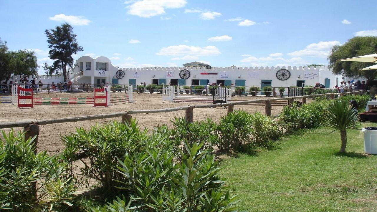 SIMBA CLUB - Samira Club Standard #13 SIMBA CLUB - Samira Club Standard #13