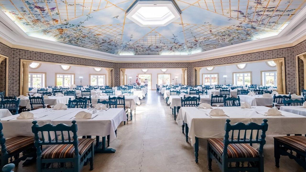 Medina Belisaire Superior #6 Medina Belisaire Superior #6