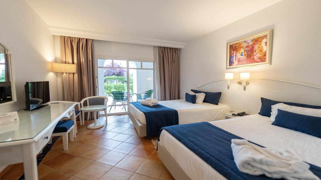 Medina Belisaire Superior #15 Medina Belisaire Superior #15