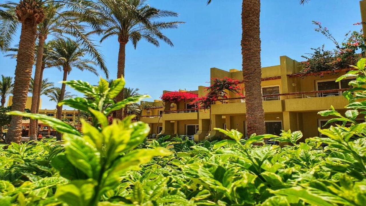 Palm Beach Resort Standard #2 Palm Beach Resort Standard #2