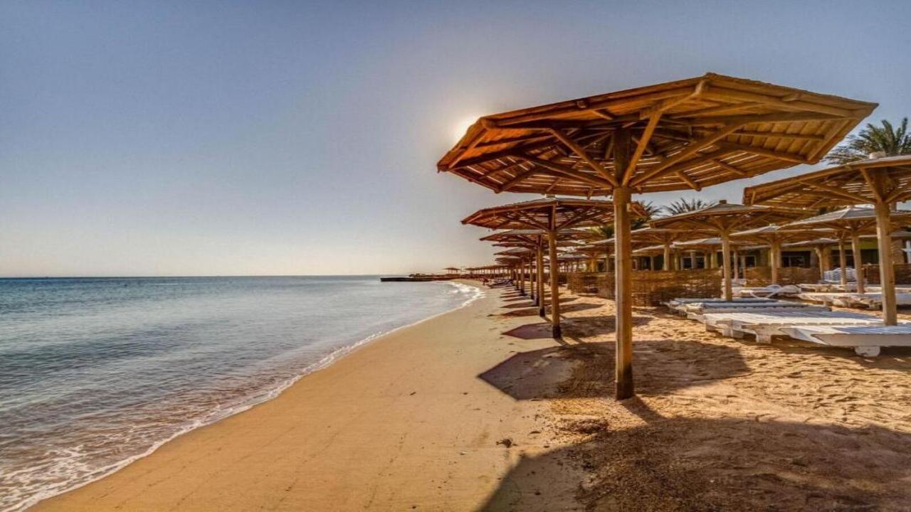 Palm Beach Resort Standard #5 Palm Beach Resort Standard #5