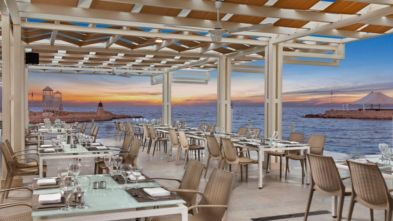 Albatross Citadel - снимка 4