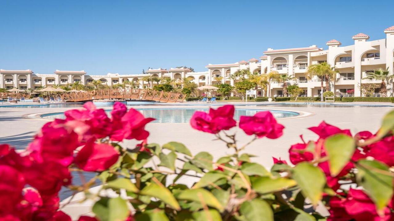 Serenity Alma - снимка 9