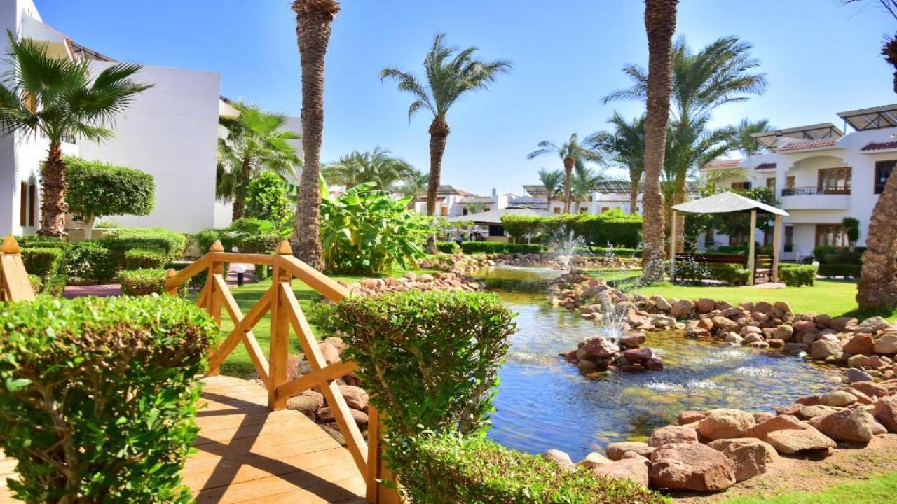 ПРОМО ОФЕРТА Dive Inn Resort Sharm el Sheikh #10 ПРОМО ОФЕРТА Dive Inn Resort Sharm el Sheikh #10