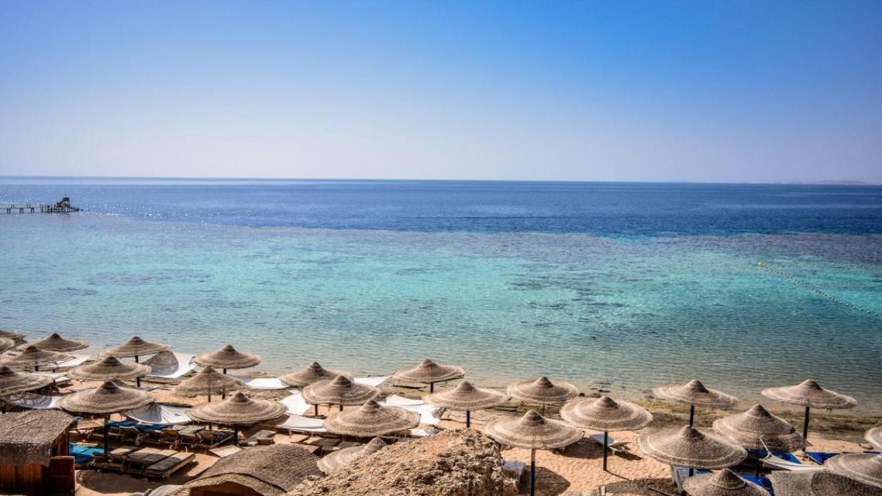 ПРОМО ОФЕРТА Dive Inn Resort Sharm el Sheikh #3 ПРОМО ОФЕРТА Dive Inn Resort Sharm el Sheikh #3