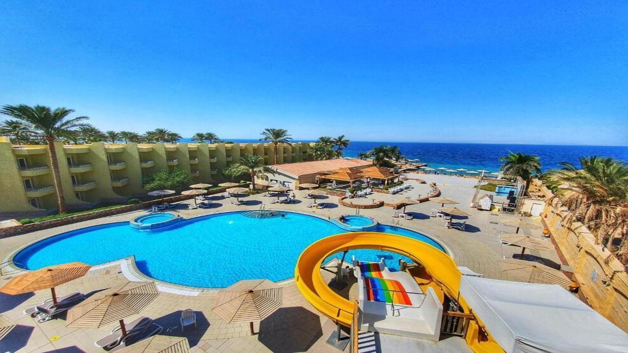 Palm Beach Resort Standard #4