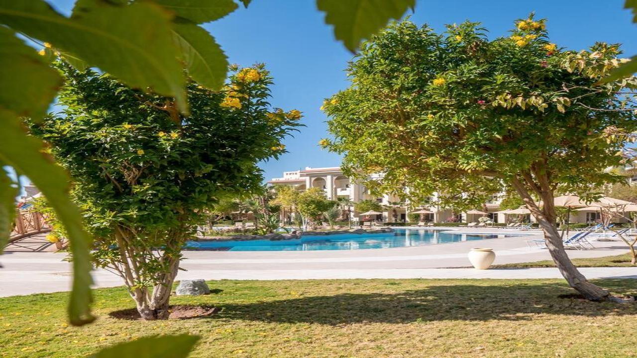 Serenity Alma #15 Serenity Alma #15