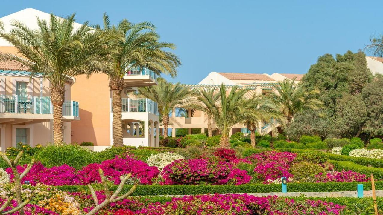 Movenpick Resort and Spa El Gouna #11 Movenpick Resort and Spa El Gouna #11