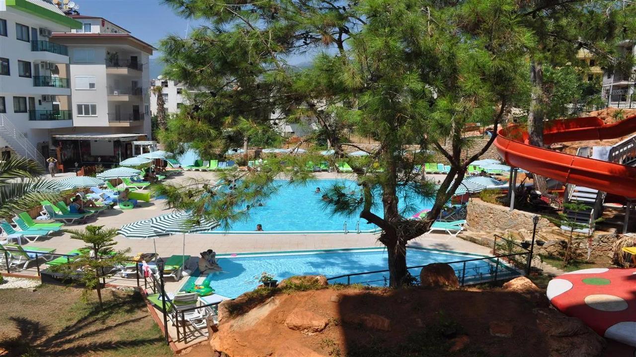 Green Life Hotel #4