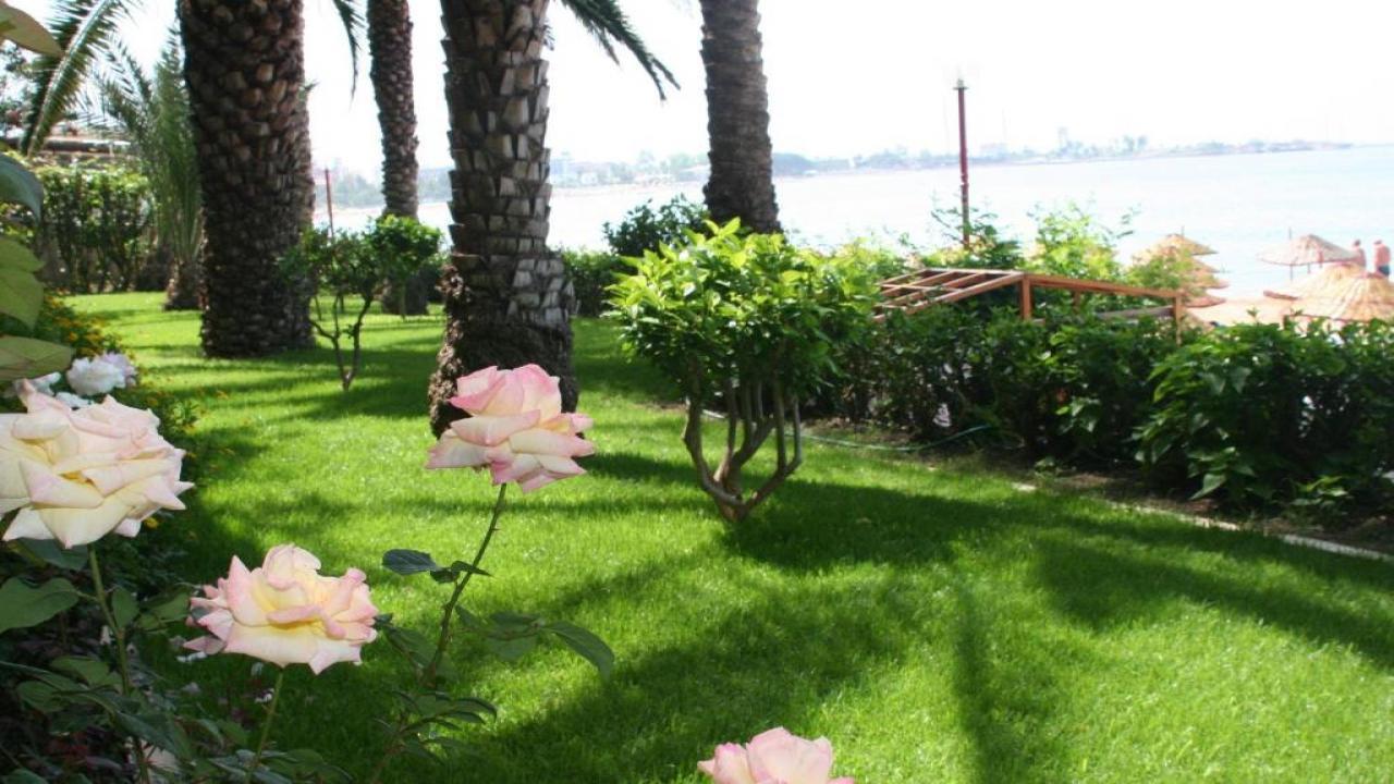 Rubi Hotel 4* #7