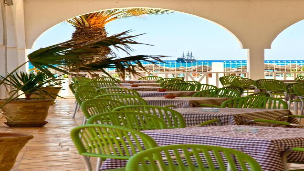 SIMBA CLUB - Samira Club Standard #8