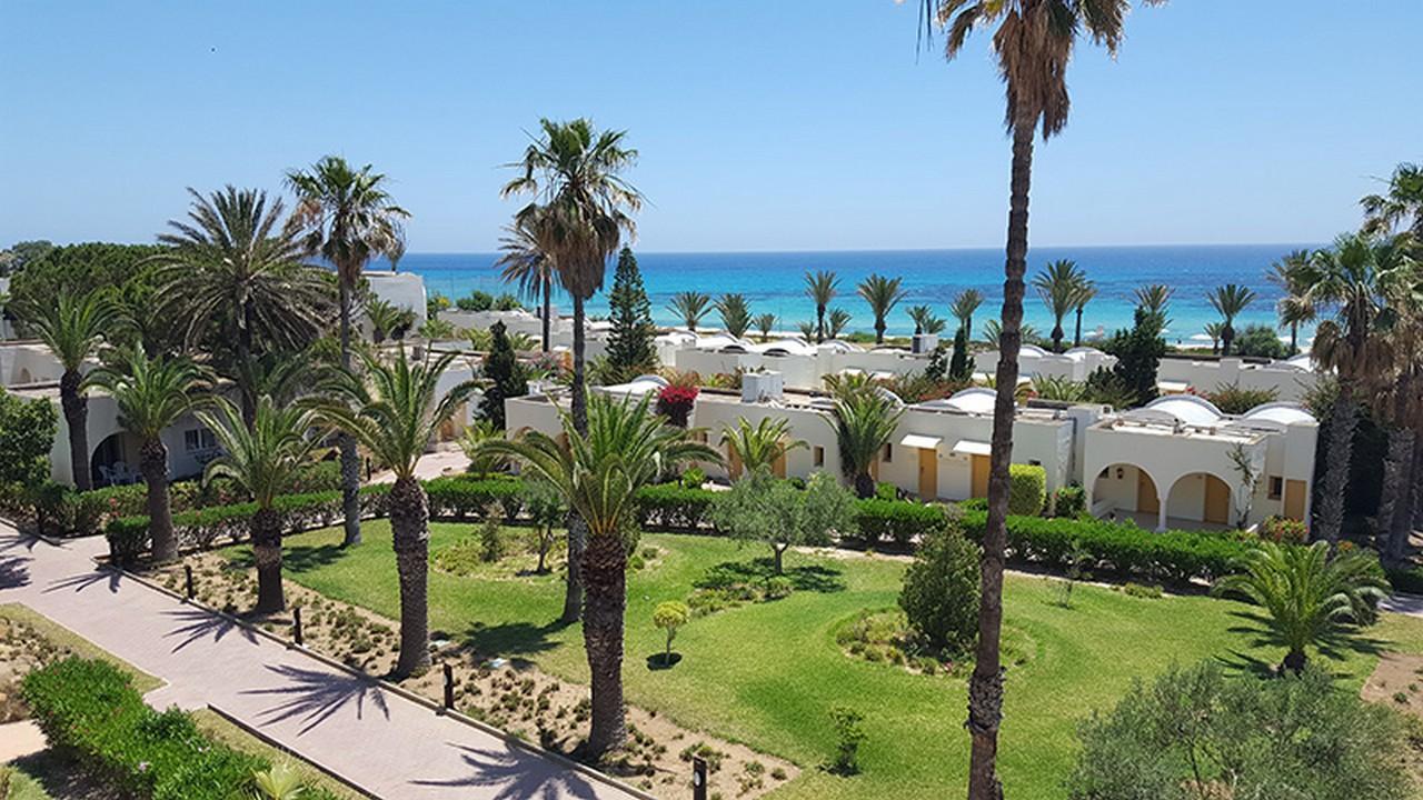 Delphino Beach Premium 4* #3