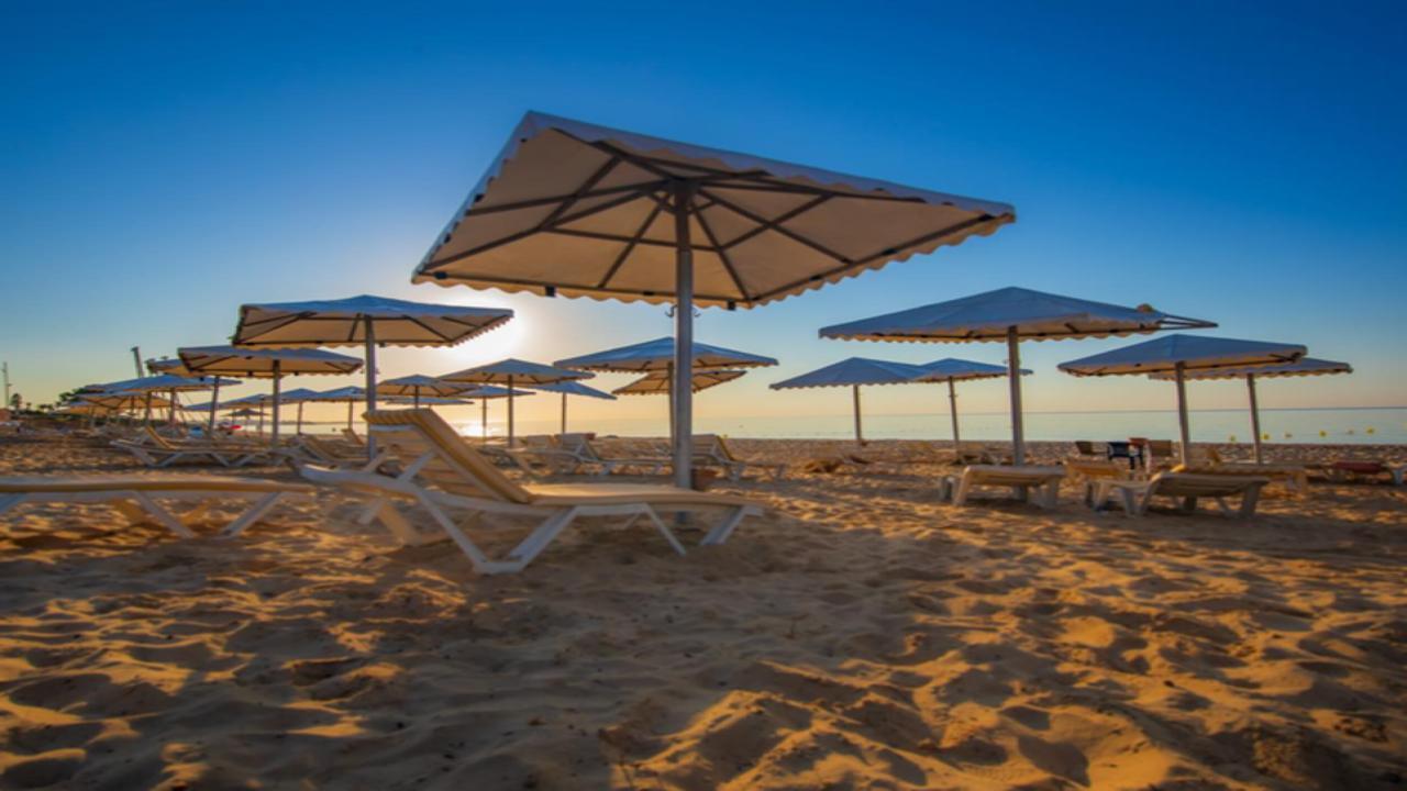 Delphino Beach Premium 4* #5