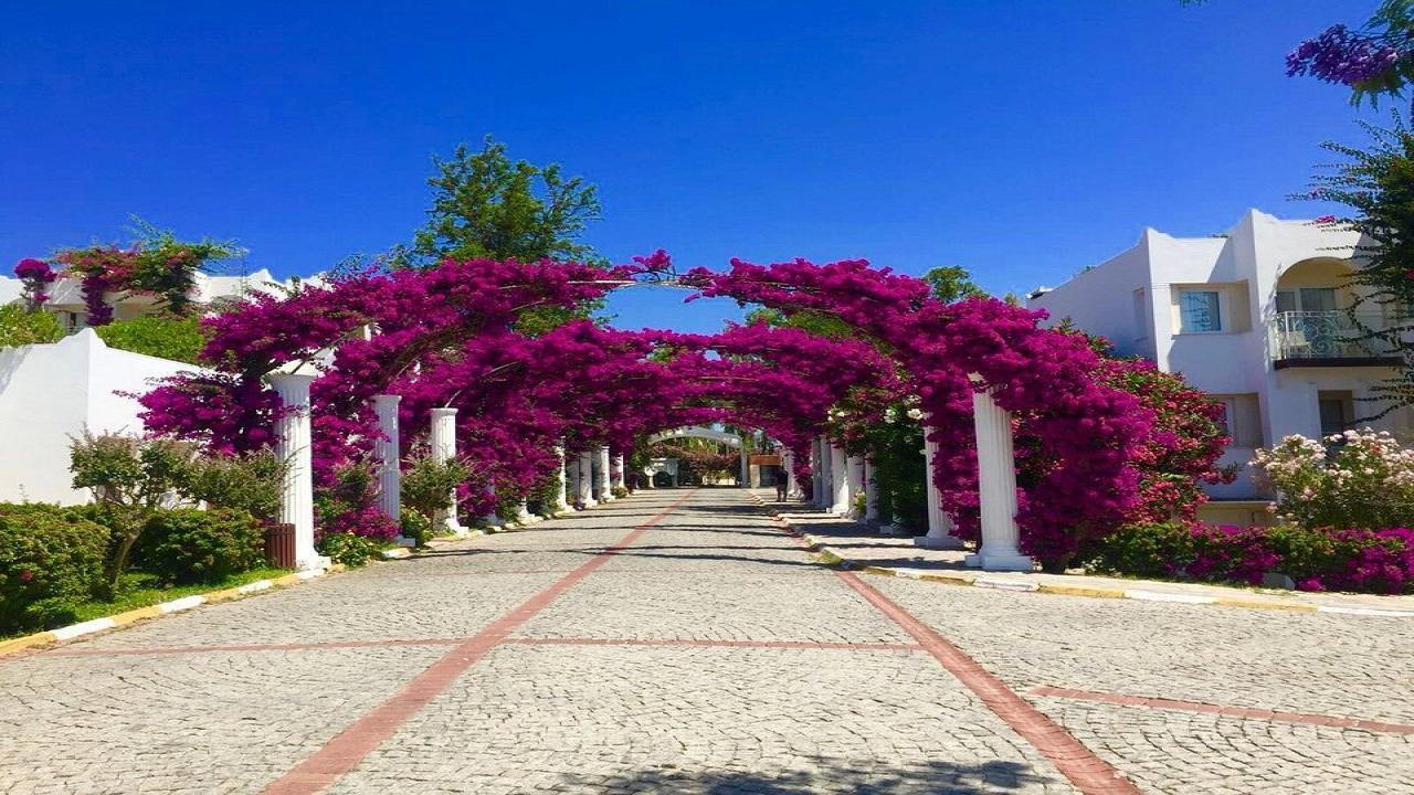 Kadikale Resort and SPA EXCLUSIVE #8